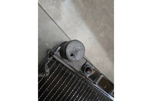 Radiador Gazela Diesel Andoria Steyr
