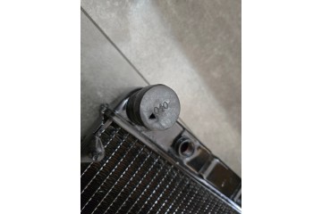 Radiador Gazela Diesel Andoria Steyr