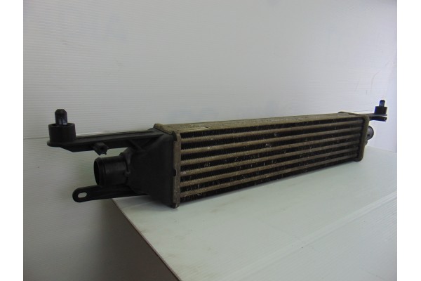 INTERCOOLER FIAT III EVO PUNTO (199)