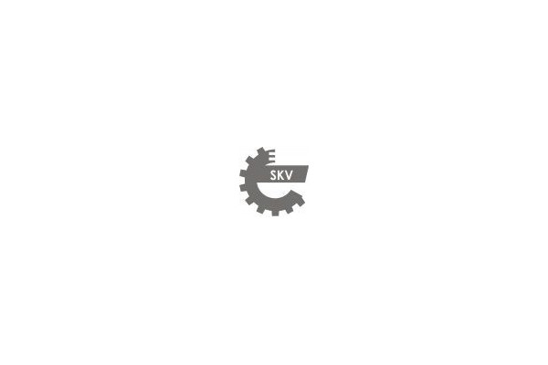 ESEN SKV 62SKV019 Catalyst universal Part manufacturer ESEN SKV