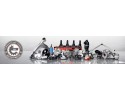 CATALYST ESEN SKV Catalog number of the part 62SKV139