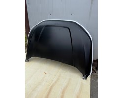 Mask Ford Edge 2020