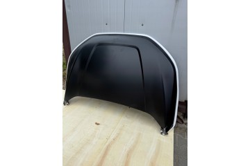 Mask Ford Edge 2020