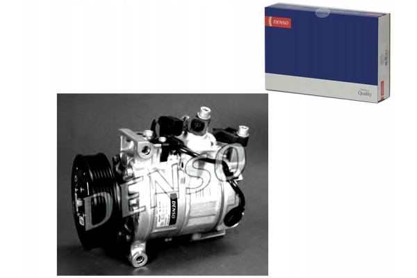 CLIMATE COMPRESSOR NEW DCP02012 A4 B6 8E2 11 00 1