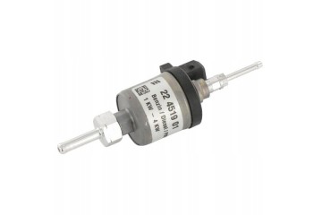 Fuel pump 12 V 22451901000