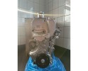Engine 1 4 TFSI TSI CAV CTH CAX CKM NEW Catalog number of the part 03C021AJ