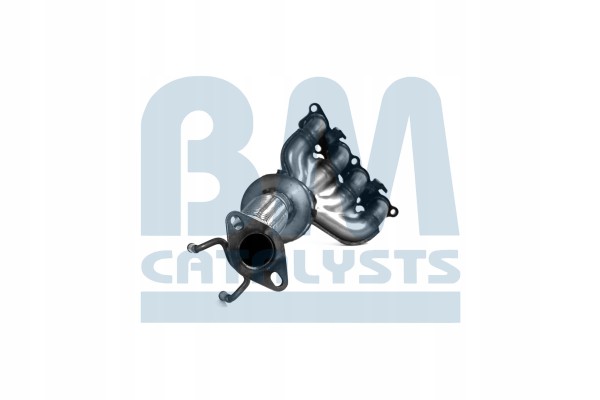 Catalyst BM CATALYSTS BM91931H Product weight 5 kg