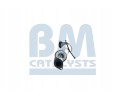 Catalyst BM CATALYSTS BM91563H Car type passenger cars