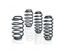 SUSPENSION SPRING SET FRONT REAR