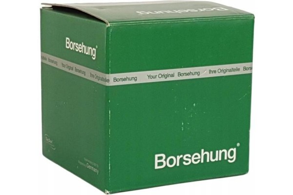 Borsehung B19296 Kit de cadena de distribución