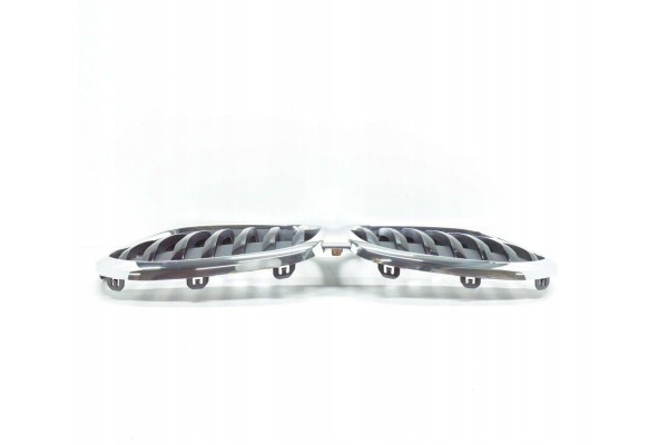 OE BMW GRILLE RADIATOR BMW X1 F48 Customs tariff code 87089199