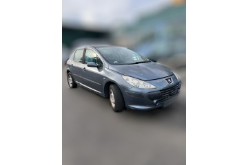 PEUGEOT 307 BERLINA (S2) X-Line