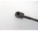 Amortiguadores maletero / porton, Ford C-max (CB3)(2007) Ambiente 2009, 3M51-R406A10-AB