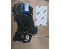 TIMING SET WHOLE SET FORD TRANSIT TOURNEO CUSTOM MK2 2 0 DIESEL Catalog number of the part GK2Q 8A615 CUSTOM MK2
