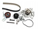 Zestaw roz with psa pump HEPU PK19010