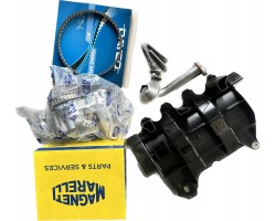 NEW OIL PUMP WHEEL BELT AUDI VW 2 0 TDI CR