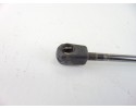 Amortiguadores maletero / porton, Mercedes-benz Clase a (Bm 169) A 200 Turbo (169.034) 2006, A1697400045