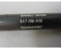Amortiguadores maletero / porton, Citroen Nemo Sx 2009, 1354844080