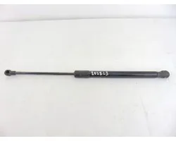 Amortiguadores maletero / porton, Bmw Serie 1 Berlina (E81/E87) 118d 2010