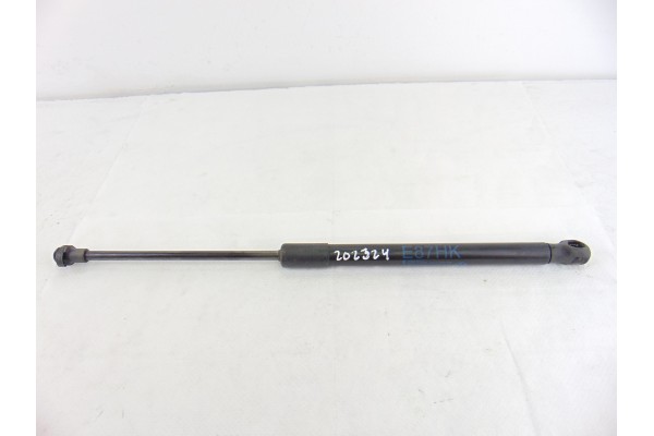 Amortiguadores maletero / porton, Bmw Serie 1 Berlina (E81/E87) 118d 2010