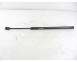 Amortiguadores maletero / porton, Ford Focus Berlina (Cak) Ambiente 1999