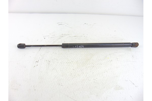 Amortiguadores maletero / porton, Ford Focus Berlina (Cak) Ambiente 1999