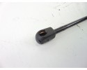 Amortiguadores maletero / porton, Ford Focus Berlina (Cak) Ambiente 1999