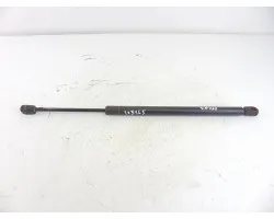 Amortiguadores maletero / porton, Ford Focus Berlina (Cak) Ambiente 1999