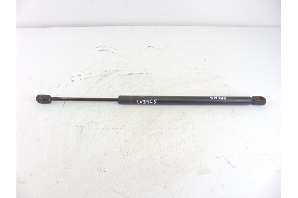 Amortiguadores maletero / porton, Ford Focus Berlina (Cak) Ambiente 1999