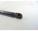 Amortiguadores maletero / porton, Ford Focus Berlina (Cak) Ambiente 1999