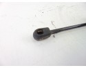Amortiguadores maletero / porton, Ford Focus Berlina (Cak) Ambiente 1999