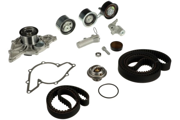 SET OF TIMING PUMP GATES KP2TH15557XS 1