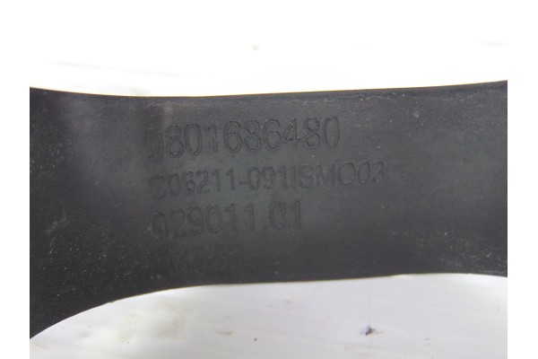 Molduras traseras, Citroen C4 Cactus Feel 2018, 9801686480
