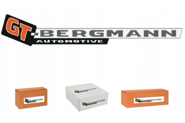 RENAULT LOGAN I SANDERO Steering Gear OE 490013367R 490019371R Part manufacturer GT Bergmann