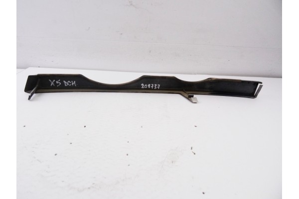 Molduras delanteras, Bmw Serie X5 (E53) 3.0i 2000, 8402648