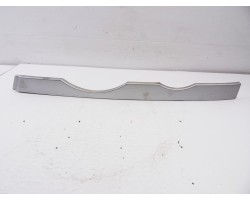 Molduras delanteras, Bmw Serie X5 (E53) 3.0i 2000, 8402647