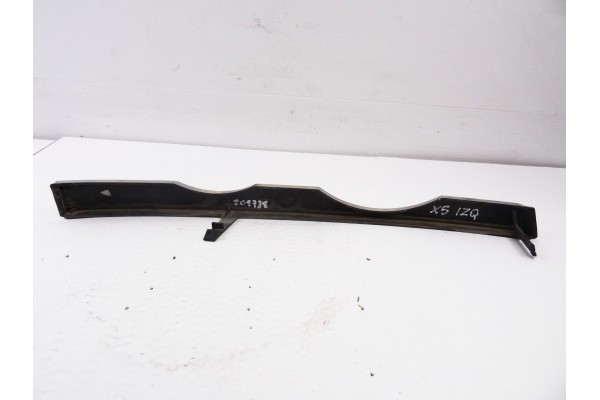 Molduras delanteras, Bmw Serie X5 (E53) 3.0i 2000, 8402647