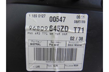 Guarnecido puerta trasera derecha, Peugeot 308 Premium 2009, 96809645