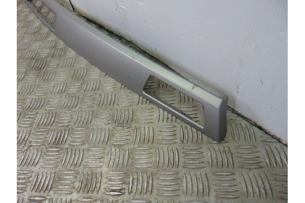 Molduras delanteras, Bmw Serie 3 Touring (E91) 320d 2006, 7132845