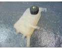 Deposito expansion, Renault Scenic Iii (Jz) Dynamique 2011, 217100005R