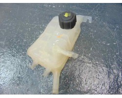 Deposito expansion, Renault Scenic Iii (Jz) Dynamique 2011, 217100005R