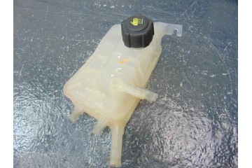 Deposito expansion, Renault Scenic Iii (Jz) Dynamique 2011, 217100005R