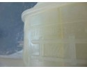 Deposito expansion, Renault Scenic Iii (Jz) Dynamique 2011, 217100005R