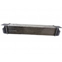 1612787 INTERCOOLER BMW SERIE 5 BERLINA (E39) 1612787 INTERCOOLER BMW SERIE 5 BERLINA (E39)