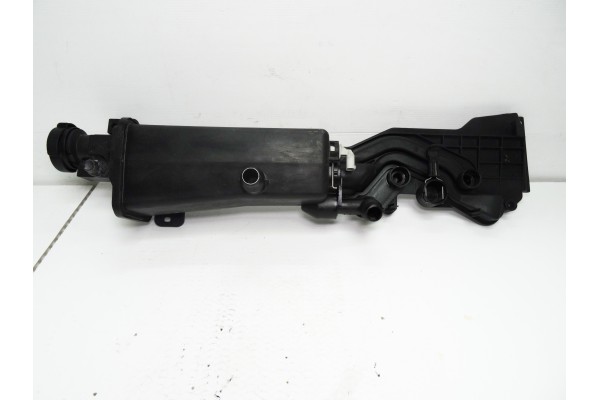 Deposito expansion, Bmw Serie X5 (E53) 3.0i 2000, 7573781