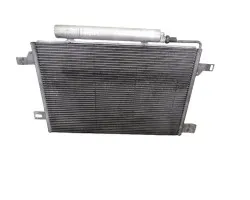Condensador / radiador aire acondicionado, Mercedes-benz Clase a (Bm 169) A 180 Cdi (169.007) 2006, A1695000354