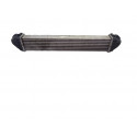INTERCOOLER MERCEDES-BENZ CLASE A (BM 169)