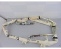 Airbag cortina delantero derecho, Nissan Pathfinder (R51) 2.5 dCi LE 2005