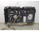 Electroventilador, Citroen Berlingo 1.9 D 600 Furg. 2006