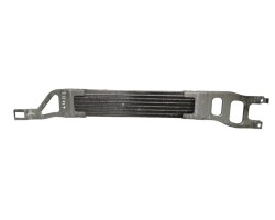 Radiador aceite, Mercedes-benz Clase a (Bm 169) A 180 Cdi (169.007) 2006, A1695000200